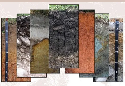 Soil Classification Image